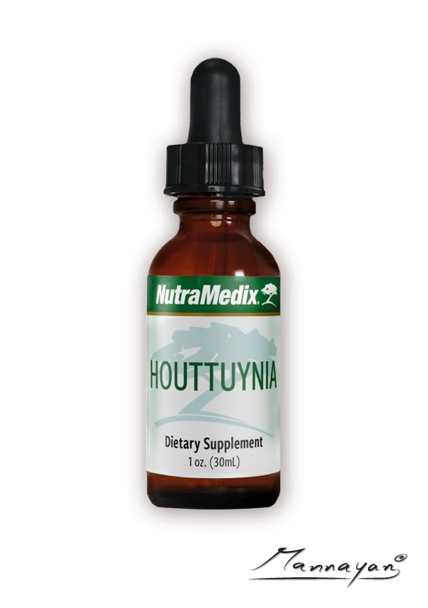 Houttuynia von NutraMedix